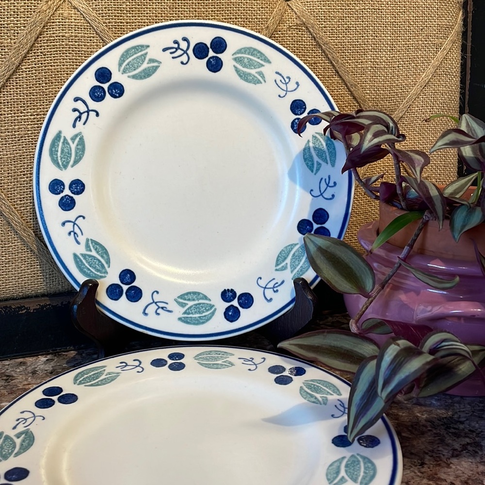 Pfaltzgraff plates